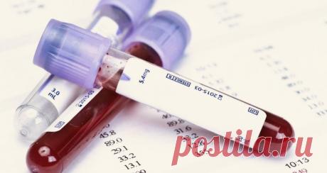 Зачем каждому стоит понимать анализы крови | PortalBio