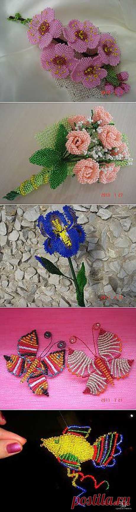 (56) Одноклассники