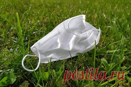 Все школы в российском городе перейдут на удаленку. В Саратове все школы и учреждения дополнительного образования с 27 сентября переходят на дистанционную форму работы из-за угрозы распространения COVID-19. Решение было принято в том числе в связи с превышением «эпидемических порогов заболеваемости ОРВИ среди детей».