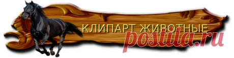 КЛИПАРТ НА ВЫБОР