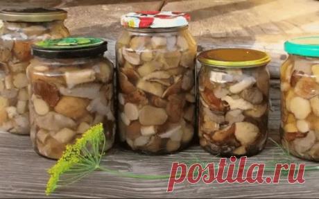 МАРИНАД ДЛЯ ГРИБОВ

1 литр воды;
2 ст. л. сахара;
4 ч. л. соли;
3 шт. лаврового листа;
6 горошин душистого перца;
4 шт. гвоздики;
3 кусочка корицы (молотой ½ ч. л.) ;
3 ч. л. уксусной эссенции 70 %.

При использовании столового 5% уксуса необходимо взять 800 мл воды и 200 мл 5% уксуса. При использовании 9% уксуса - 890 мл воды и 110 мл 9% уксуса.

ПРИГОТОВЛЕНИЕ:
Вскипятить воду, добавить специи, проварить минутки три (уксус добавить в самом конце варки) , снять с огня. Мар...