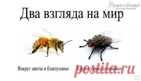а