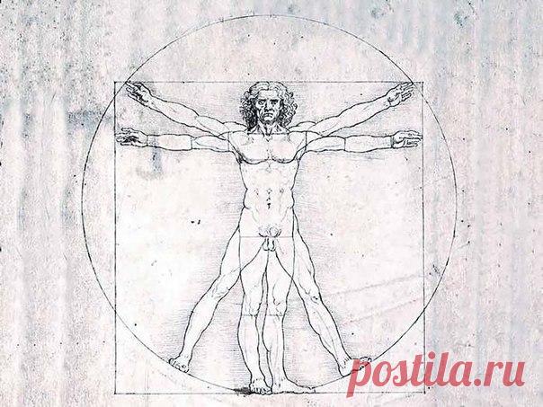 Откуда берутся болезни - Академия Романовой Елены