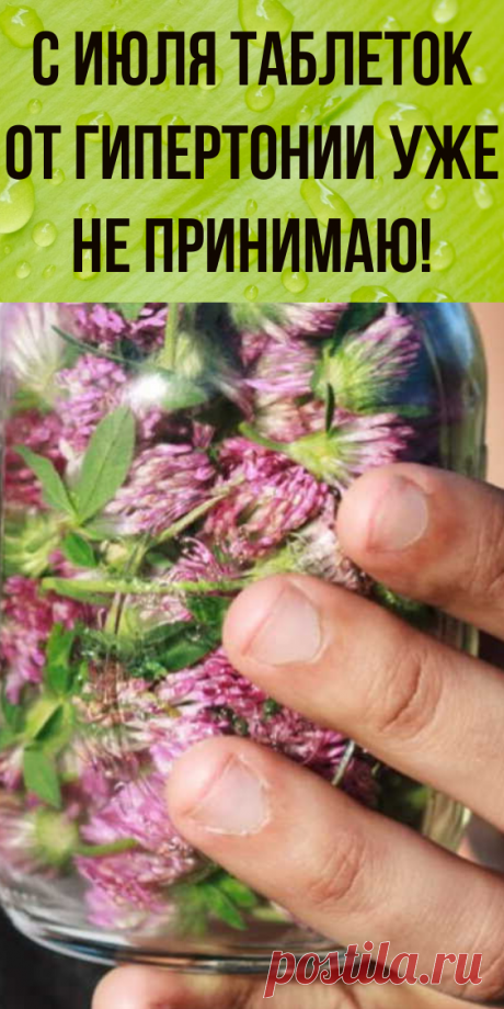 С июля таблеток от гипертонии уже не принимаю!