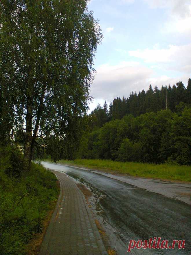 после дождика