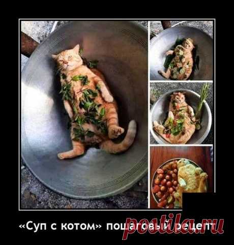 Новые ржачные демотиваторы / Приколы