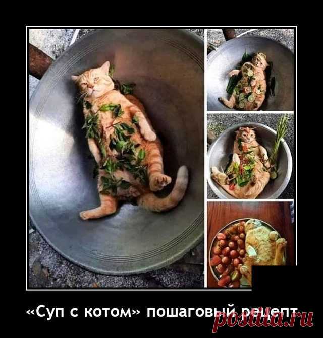 Новые ржачные демотиваторы / Приколы