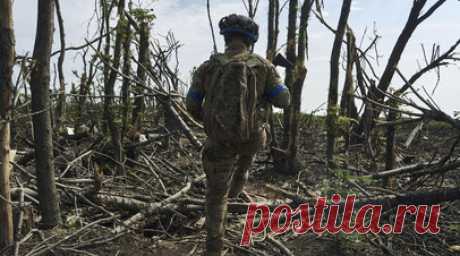 Глава ГУР МО Украины Буданов: контрнаступление ВСУ проходит пешком. Руководитель ГУР Министерства обороны Украины Кирилл Буданов в интервью изданию The Wall Street Journal заявил, что ВСУ наступают в основном пешком. Читать далее