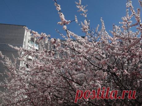 Черкассы | Фотографии Хабалов Вячеслав | 341 фото