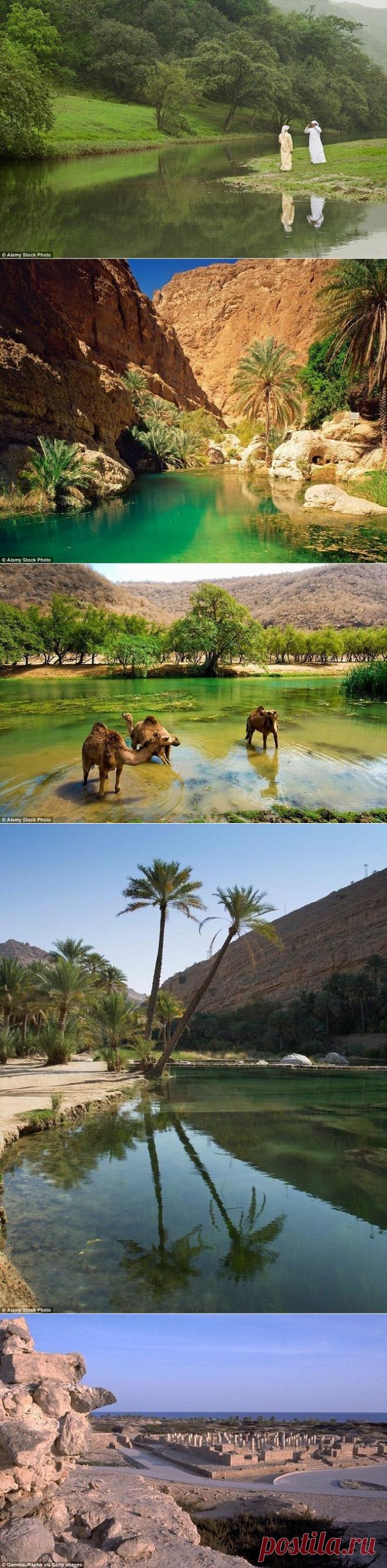Чудо света: пустыня, ставшая оазисом / Туристический спутник
