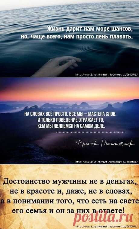 Возьмите цитаты на заметку...