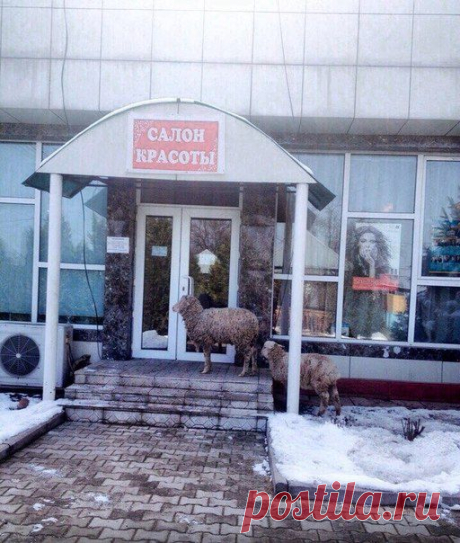 Павлодар онлайн / Pavon.kz