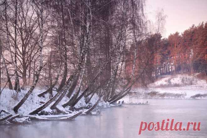 35PHOTO - Вейзе Максим - Зимой на Свислочи