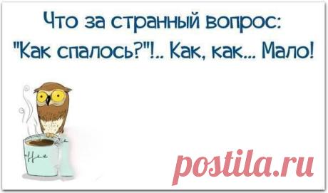 Веселые картинки - Группы Мой Мир