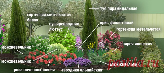 Клумбы непрерывного цветения – схемы с описанием цветов…