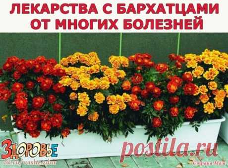 (54) Одноклассники