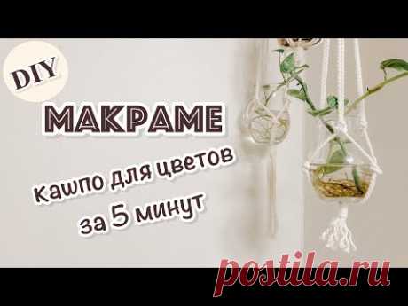 [SUB] DIY МАКРАМЕ || кашпо для цветов своими руками