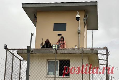 Талибы запретили вывозить из Афганистана доллары и памятники. Террористическое движение «Талибан» запретило вывозить за пределы страны валюту и исторические памятники по воздуху и суше. «В случае обнаружения подобные объекты будут немедленно конфискованы, а с их владельцами будут обращаться в соответствии с законом», — заявили талибы.