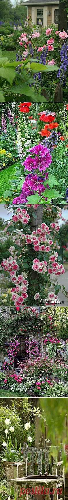 From the Garden в Pinterest