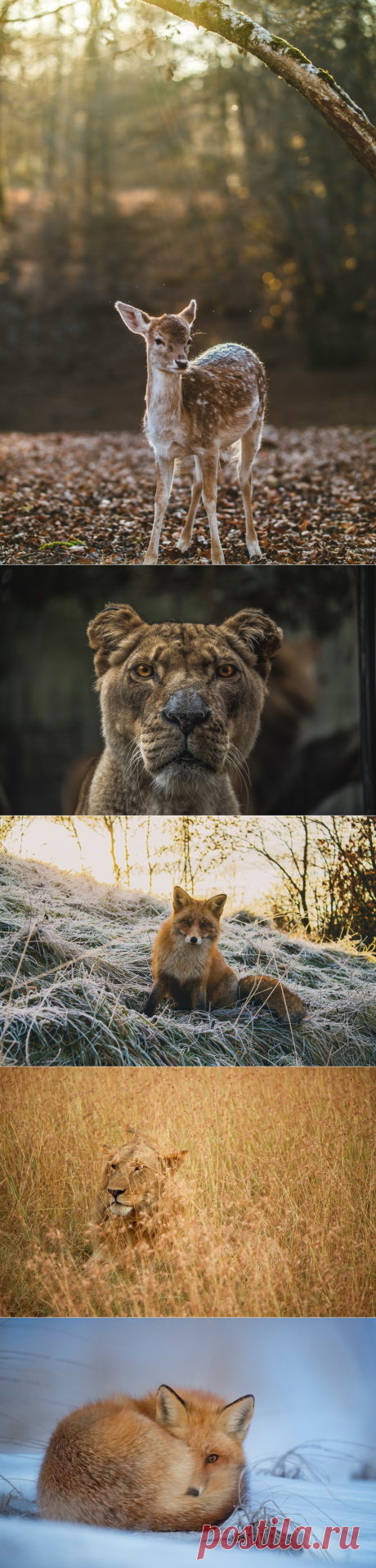 Природа от которой на сердце становится теплее