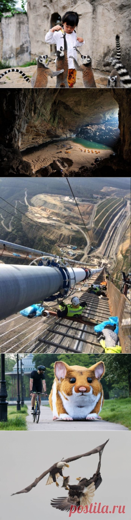 Подборка снимков, которые вас точно удивят.