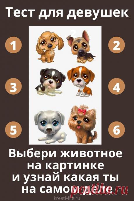 3 теста по картинкам для девушек. Узнай какая ты  | Психология