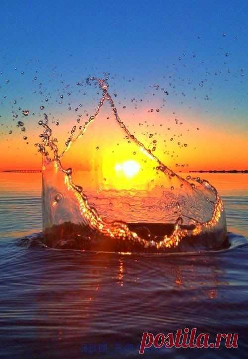 (91) Pinterest - Ƹ̵̡Ӝ̵̨̄Ʒ • Må®¢ë££å™ • Ƹ̵̡Ӝ̵̨̄Ʒ | картинки о природе, детские, животные растения