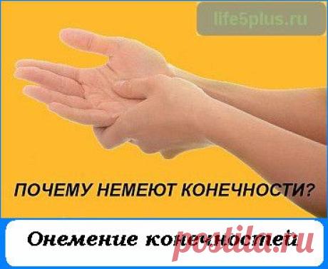 Онемение конечностей — причины появления, методы лечения |