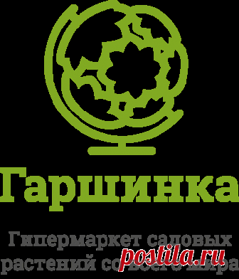 Гаршинка | Интернет-магазин садовых растений