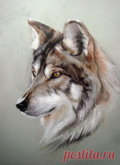 @дневники — ВОЛЧЬЯ ГАЛЕРЕЯ