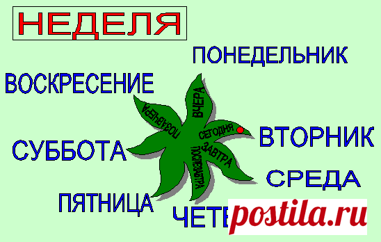 Госпожа неделя.