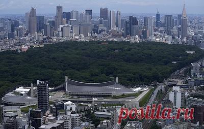 Дипломат России заявил о поощрении Токио русофобии в СМИ. Временный поверенный в делах РФ Геннадий Овечко отметил, что это негативно сказалось на россиянах в Японии