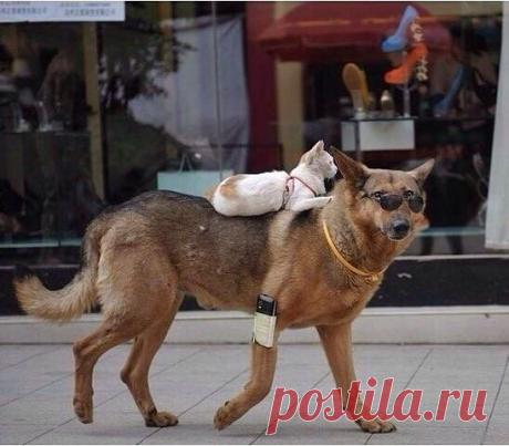 Инна: Больше не играю ни в голосование, ни в дуэли, брррр)))