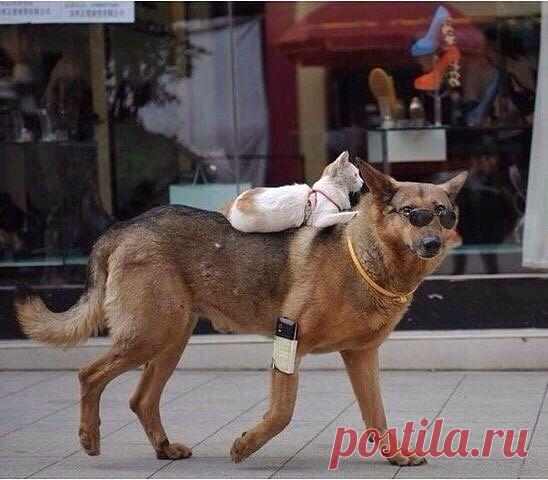 Инна: Больше не играю ни в голосование, ни в дуэли, брррр)))