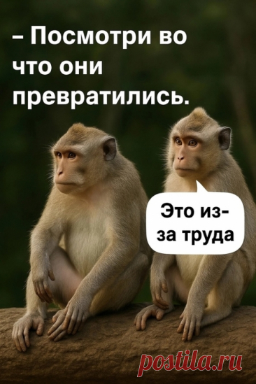 Юмор&gt;Улыбнитесь!