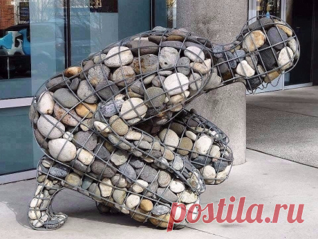 Новости