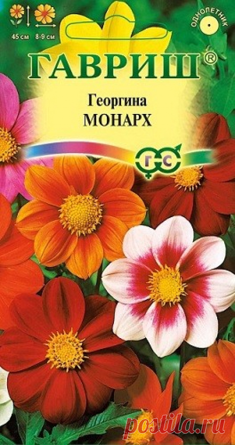 Георгина "Монарх", смесь