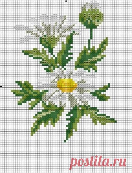 Схема вышивки Ромашки