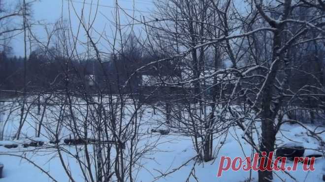 4 декабря, триста тридцать восьмой день уходящего уже года. В Православной церкви в этот день празднуется один из двунадесятых, важнейших после Пасхи, праздников, касающихся земной жизни Христа и Богородицы, — Введение во Храм Пресвятой Богородицы.