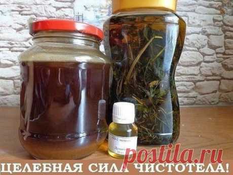 Свою методику применения чистотела при лечении онкологических заболеваний разработал Анатолий Потопальский. Им в 1959 году был создан противоопухолевый, противовирусный и антимикробный препарат из чистотела «Амитозин».
Улучшив биологически активные молекулы чистотела, учёные добились, что «Амитозин» останавливает размножение злокачественных клеток. Проведённые клинические исследования показали хорошие результаты у сорока процентов больных. 
Рецедивы тоже не возникали. Повт...