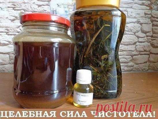 Свою методику применения чистотела при лечении онкологических заболеваний разработал Анатолий Потопальский. Им в 1959 году был создан противоопухолевый, противовирусный и антимикробный препарат из чистотела «Амитозин».
Улучшив биологически активные молекулы чистотела, учёные добились, что «Амитозин» останавливает размножение злокачественных клеток. Проведённые клинические исследования показали хорошие результаты у сорока процентов больных. 
Рецедивы тоже не возникали. Повт...
