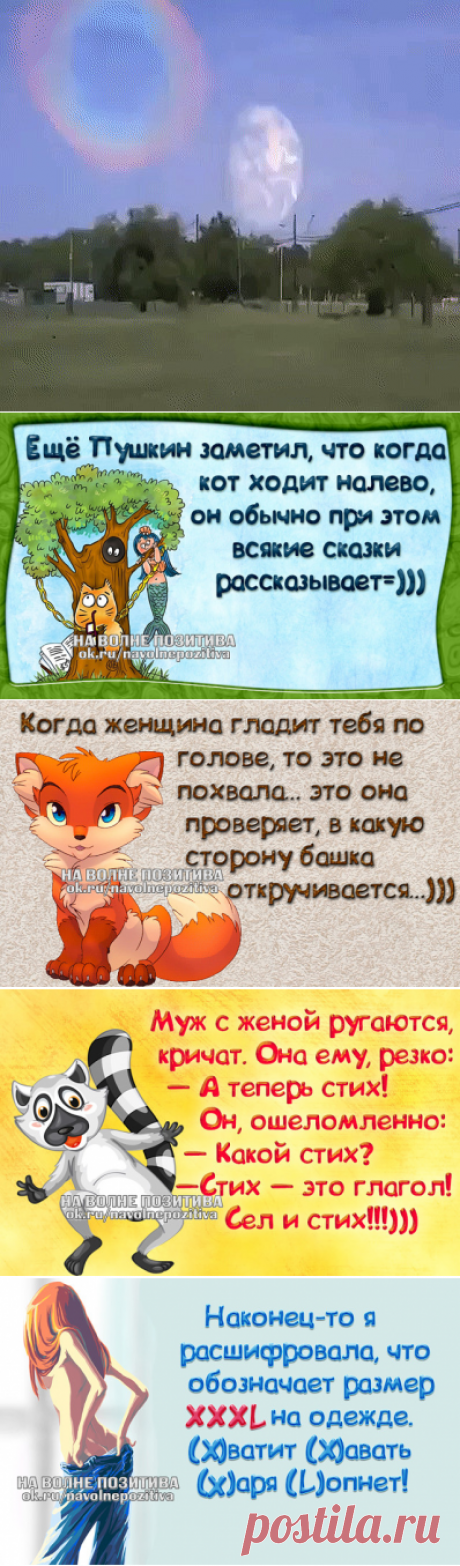 (41) Одноклассники