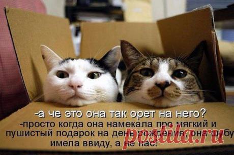 Интересные новости