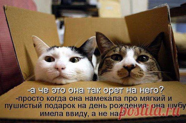 Интересные новости