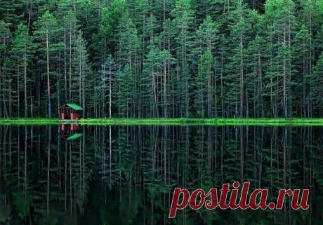 Радоновое озеро, Ленинградская область, Россия