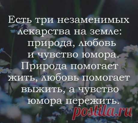 Новая подборка из 15 хороших и добрых историй, фраз и анекдотов с просторов интернета