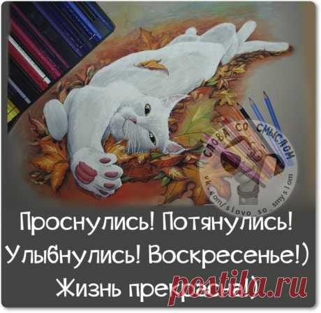 • *¨`* •. ¸ • *¨`* •.¸