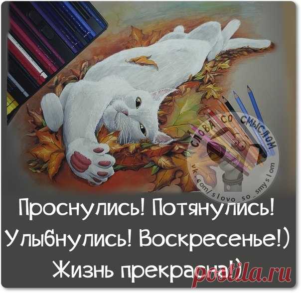 • *¨`* •. ¸ • *¨`* •.¸