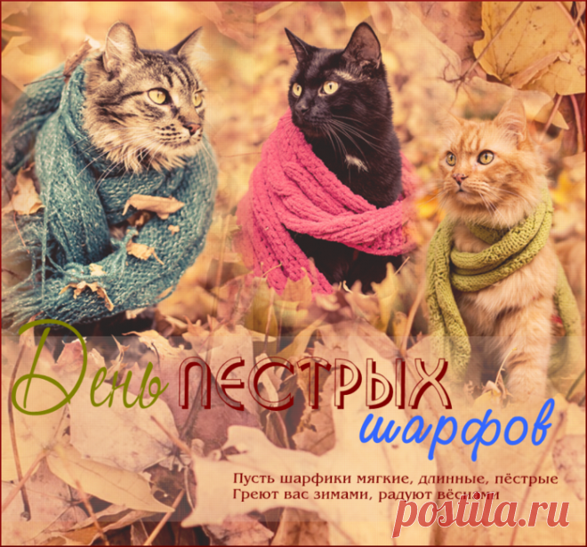 День длинных пестрых шарфов.