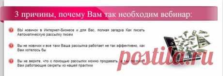 Эксклюзивное обучение Бизнесу | 35 фотографий